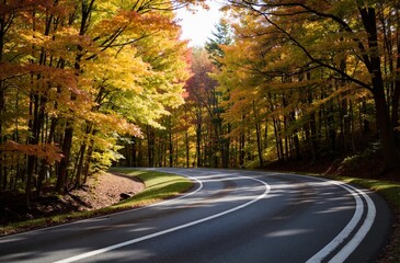 Obraz premium winding road in autumn