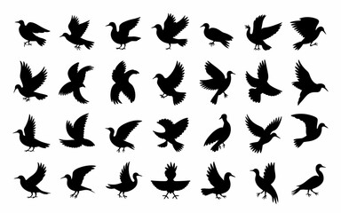 set of silhouettes of birds