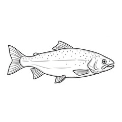 Detailed outline of a salmon fish showing fins scales and body shape in a realistic style transparent background
