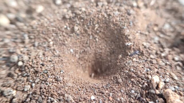 hole in the sand