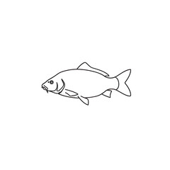 Outline of a fish detailed silhouette aquatic creature simple line art drawing transparent background