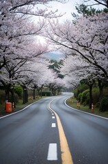 road in the countryside