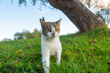 Fototapety na wymiar - Fototapeta24.pl
