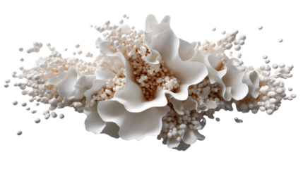 Abstract Floral Arrangement: An elegant abstract composition showcases a delicate cluster of pristine white floral elements, contrasted against a backdrop of tiny spherical structures.