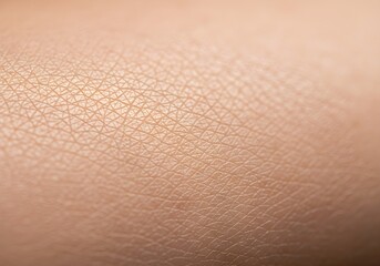 Microscopic Landscape of Human Skin