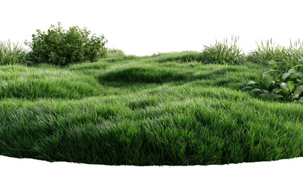 Obraz premium Lush Green Meadow: A vibrant expanse of thick, healthy grass and scattered shrubbery creates a serene landscape. Perfect for showcasing the beauty of nature and outdoor spaces.