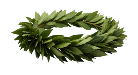 A laurel wreath, a symbol of victory and honor, isolated on transparent background a timeless emblem of achievement and excellence, made of fresh leaves