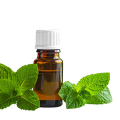 Bottle of mint essential oil with green leaves, isolated on a white background
