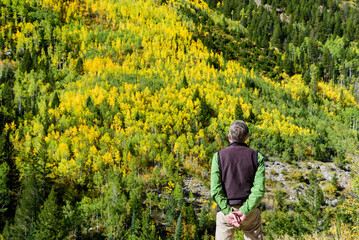 A lone hiker stands still on a leaf-covered trail, immersed in the colors of fall.