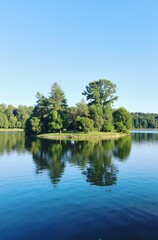 Fototapeta premium lake in the forest