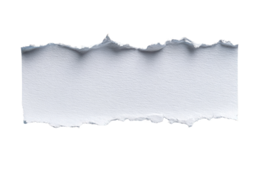 Ripped white paper strip,  irregular edges, blank, textured surface
