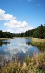 Obraz premium lake in the forest
