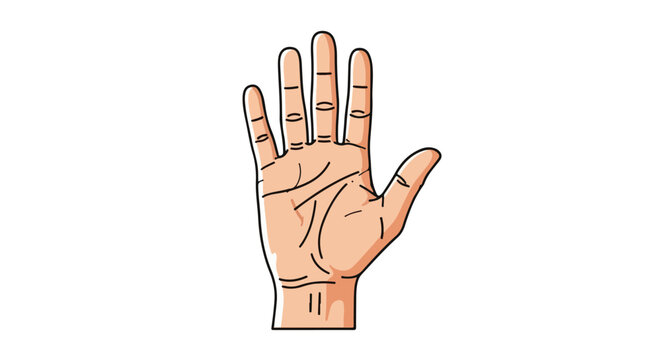 Detailed illustration of a hand with palm lines, revealing the art of palmistry and prediction of the future, isolated on a clean white background
