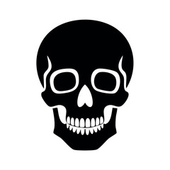 A stark, black and white illustration of a human skull, facing forward.