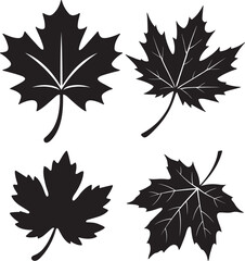 Maple Leaf Silhouette Vector Set  Botanical Icons with Vein Detail for Nature Seasons Canadian Themes