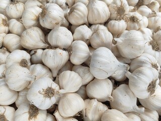 Fresh garlic bulbs, a close-up view of a pile