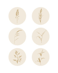 Botanical badges featuring gold stamp of plant prints inside round beige circles. Great for stickers, branding and minimal packaging. Vector illustration