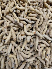 Pile of Dried Turmeric Roots