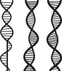 dna strand on white background