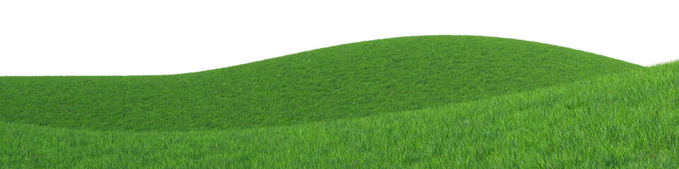 Empty fresh green grass field isolated on transparent background. 3d realistic rendering . PNG format  © Everythingyouneed