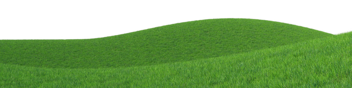Empty fresh green grass field isolated on transparent background. 3d realistic rendering . PNG format	