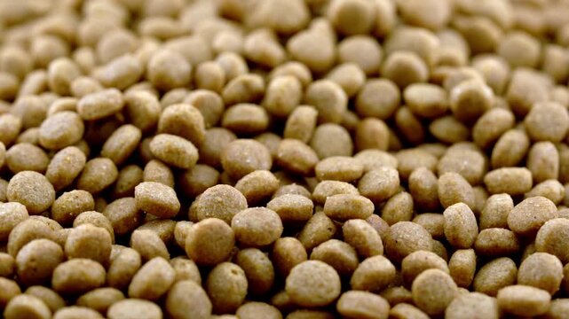 closeup of pet dog cat kibble feed pellet rotate rotation food video footage background
