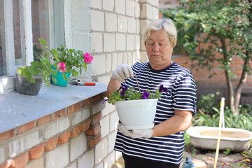 Portrait of senior woman gardening. She is pruning flowers. without retouching