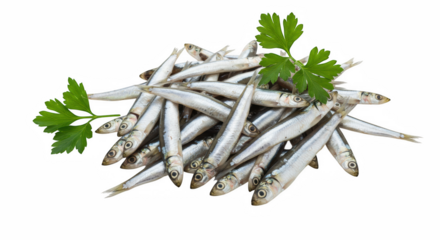 Pile of small anchovy fish with parsley isolated on transparent background