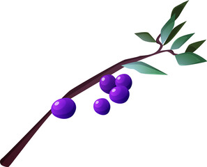 Berry Branch