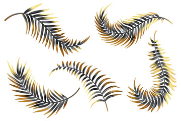 Gold and black palm leaves. Vector coconut tree branch isolated on white background. Exotic realistic foliage set. Abstract decoration for luxury invitation and presentation design. Botanical