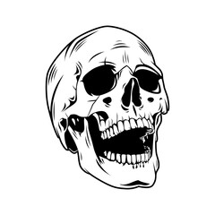 Skull Vector Image And Illustration