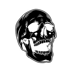 Skull Vector Image And Illustration