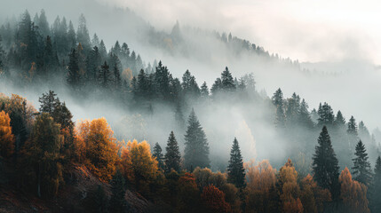 The golden autumn forest enveloped in a tranquil, misty atmosphere perfect for the holidays.