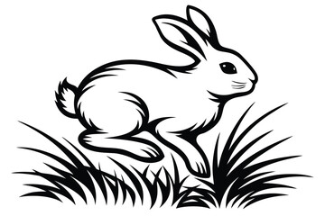 Rabbit Leaping in Grass, on White Background, Cartoon Outline