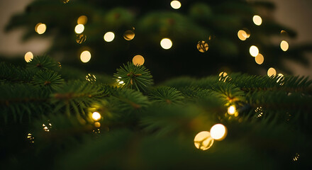 Close up of christmas tree branches with warm glowing fairy lights creating a festive holiday atmosphere and seasonal cheer for christmas celebrations