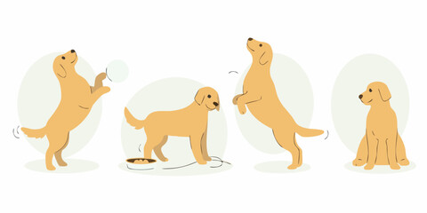Four golden retriever dogs in different poses showing playful and calm behavior