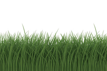 Fototapeta premium Collection of seamless horizontal green grass borders 3d rendered isolated on PNG