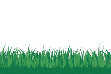 Green grass border, on a transparent background. The horizon of the green lawn. Green field frame, background. PNG