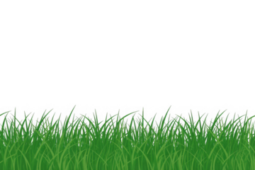Green grass border, on a transparent background. The horizon of the green lawn. Green field frame, background. PNG