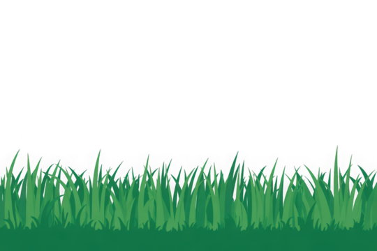 Green grass border, on a transparent background. The horizon of the green lawn. Green field frame, background. PNG
