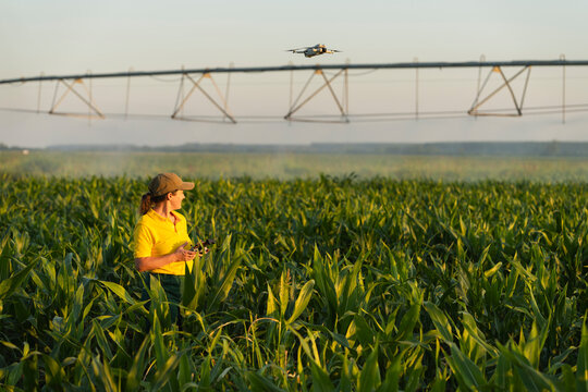 Farmer uses drone and digital tablet for smart irrigation in corn field