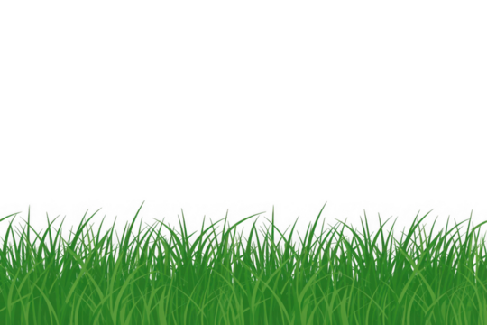Green grass border, on a transparent background. The horizon of the green lawn. Green field frame, background. PNG