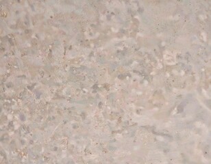 Obraz premium 淡いベージュとグレーのチップが混ざったテラゾー風の抽象背景