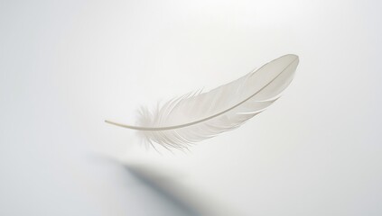 Obraz premium Delicate white feather floating gently with soft shadow on a clean white background