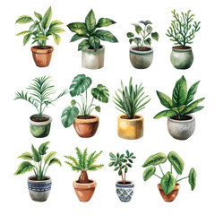 Fototapeta premium Indoor plants in decorative pots arranged in a grid display showcasing various species and styles for home decor
