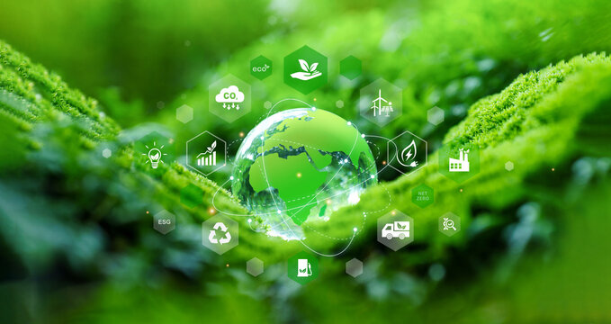 Crystal Earth on moss In forest with ferns And sunlight. Concept of Environment, Earth Day, ESG, renewable energy. sustainable, Eco-friendly, green business, csr, net zero and World environment day.