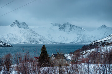 Fototapete bei efototapeten.de bestellen   