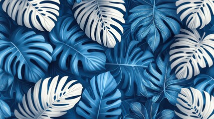 Lush blue and white tropical monstera leaves background.