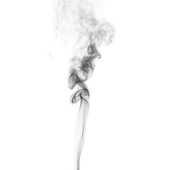 Swirling smoke pattern creates a mesmerizing display against a white background in a tranquil setting