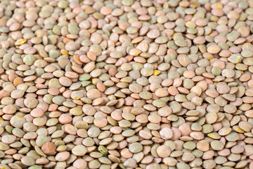 Green lentil on the white background